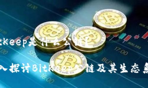BitKeep是什么公链？

深入探讨BitKeep公链及其生态系统