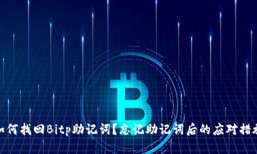 如何找回Bitp助记词？忘记助记词后的应对措施