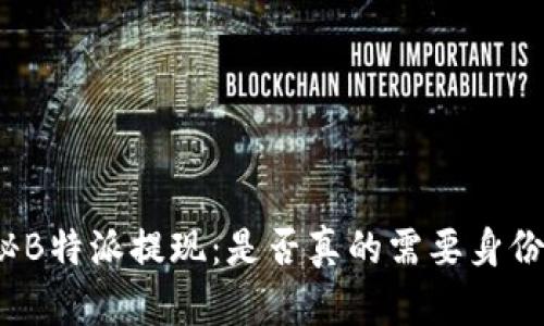 揭秘B特派提现：是否真的需要身份证？