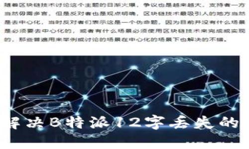 如何解决B特派12字丢失的问题？