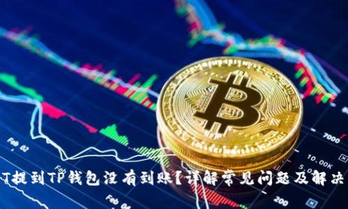 USDT提到TP钱包没有到账？详解常见问题及解决方法