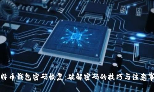 比特币钱包密码恢复：破解密码的技巧与注意事项