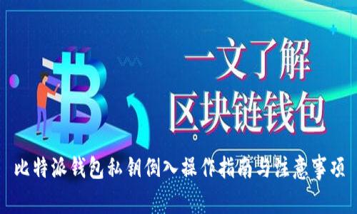 比特派钱包私钥倒入操作指南与注意事项