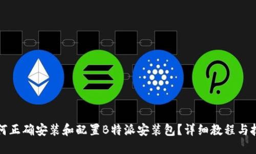 如何正确安装和配置B特派安装包？详细教程与技巧