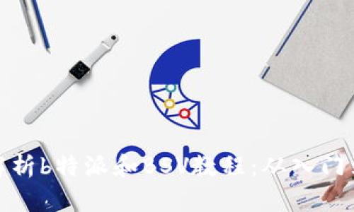 全面解析b特派和BSV教程：从入门到精通