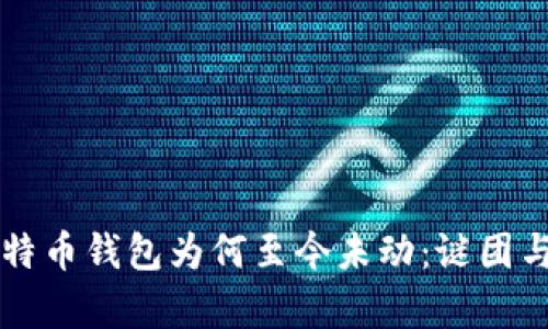 中本聪比特币钱包为何至今未动：谜团与影响解析