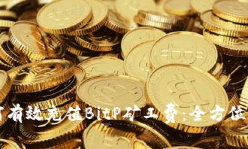 如何有效充值BitP矿工费：全方位指南