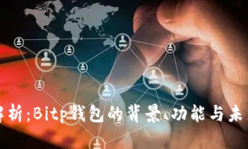 深入解析：Bitp钱包的背景、功能与未来发展