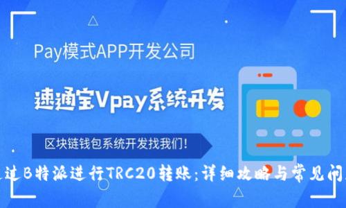 如何通过B特派进行TRC20转账：详细攻略与常见问题解答
