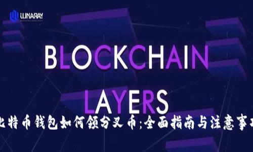 比特币钱包如何领分叉币：全面指南与注意事项