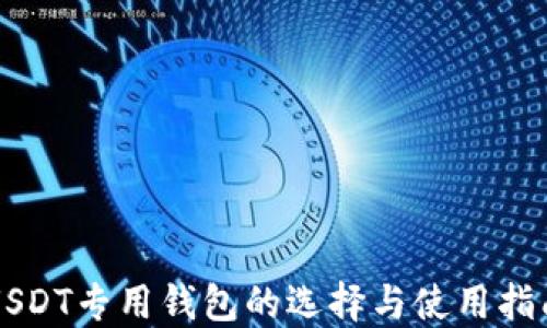 
USDT专用钱包的选择与使用指南