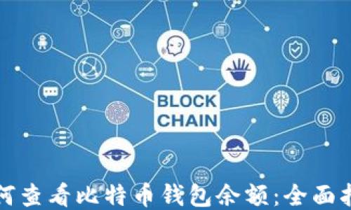
如何查看比特币钱包余额：全面指南