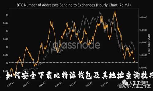 : 如何安全下载比特派钱包及其地址查询技巧