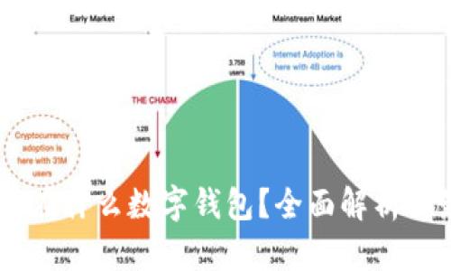 USDT存放在什么数字钱包？全面解析及最佳选择