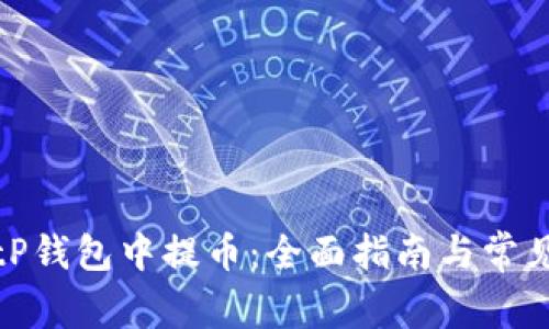 如何在BitP钱包中提币：全面指南与常见问题解答