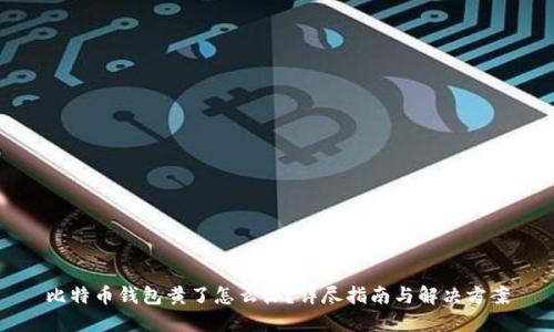 比特币钱包黄了怎么办？详尽指南与解决方案