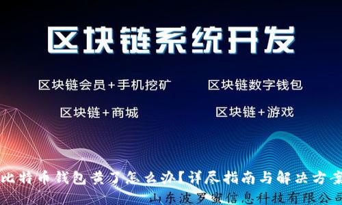 比特币钱包黄了怎么办？详尽指南与解决方案