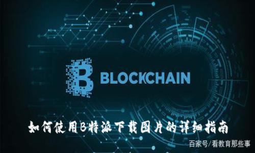 如何使用B特派下载图片的详细指南