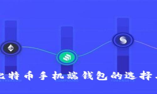 全面解析比特币手机端钱包的选择与使用指南