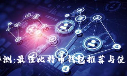 全面评测：最佳比特币钱包推荐与使用指南