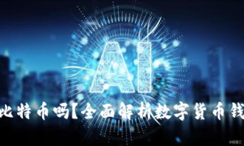 ETH钱包可以放比特币吗？全面解析数字货币钱包的功能与使用