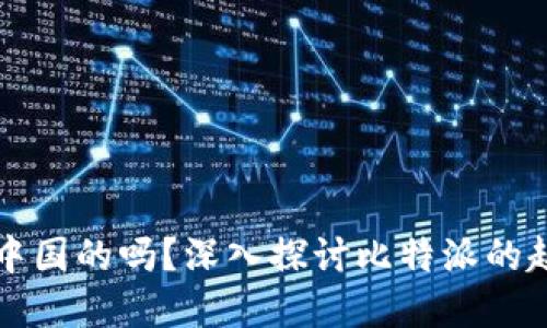 比特派是中国的吗？深入探讨比特派的起源与发展