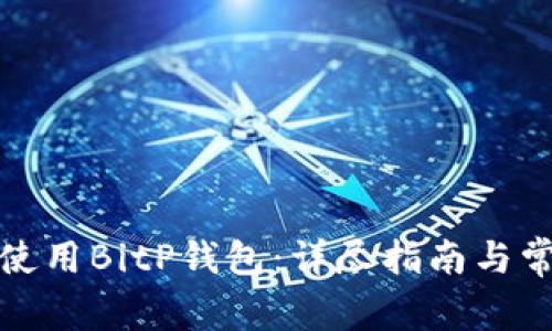 如何下载并使用BitP钱包：详尽指南与常见问题解答