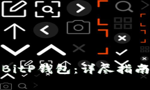 如何下载并使用BitP钱包：详尽指南与常见问题解答