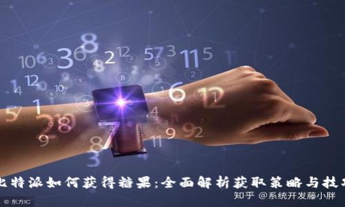 比特派如何获得糖果：全面解析获取策略与技巧