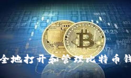  如何安全地打开和管理比特币钱包文件？
