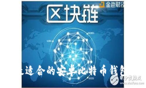 :
如何选择最适合的安卓比特币钱包：全面指南