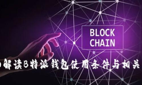 详细解读B特派钱包使用条件与相关问题
