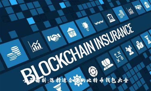 全面解析：选择适合你的比特币钱包大全