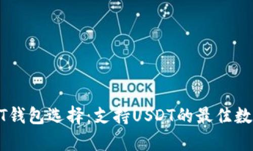 : 全面解析USDT钱包选择：支持USDT的最佳数字货币钱包推荐