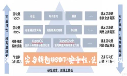 全面解析海外非实名钱包USDT：安全性、使用场景及未来发展
