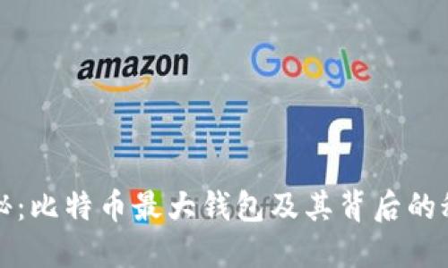 揭秘：比特币最大钱包及其背后的秘密