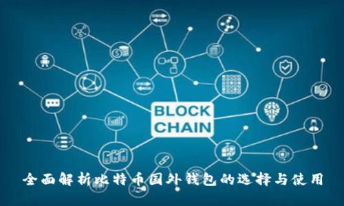 全面解析比特币国外钱包的选择与使用