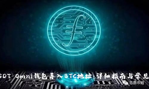 如何将USDT Omni钱包导入BTC地址：详细指南与常见问题解析