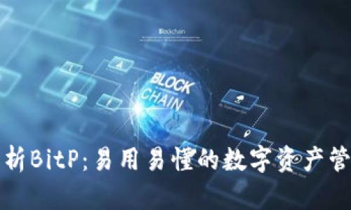 深入解析BitP：易用易懂的数字资产管理工具
