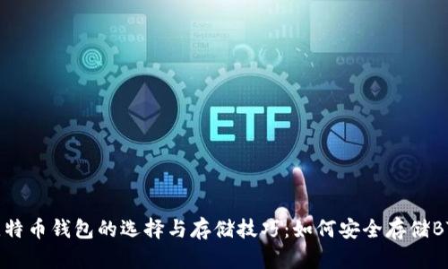 比特币钱包的选择与存储技巧：如何安全存储BTC