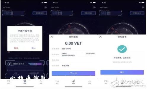 比特币钱包的数据大小要求及管理技巧