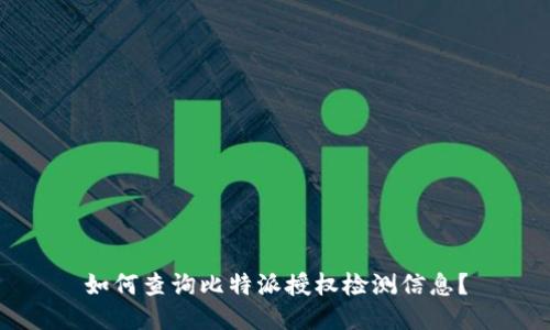如何查询比特派授权检测信息？