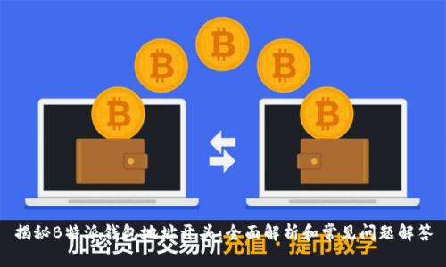 揭秘B特派钱包地址开头：全面解析和常见问题解答