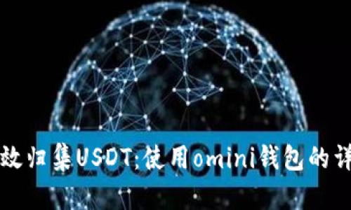 如何高效归集USDT：使用omini钱包的详细指南