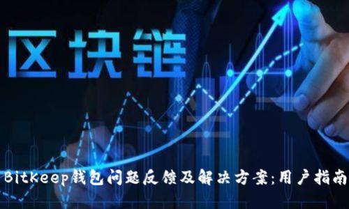 BitKeep钱包问题反馈及解决方案：用户指南