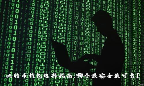 比特币钱包选择指南：哪个最安全最可靠？