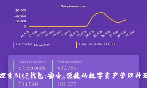 探索BitP钱包：安全、便捷的数字资产管理神器