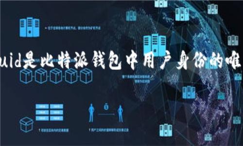 比特派（BitPie）是一款内容丰富且功能强大的数字货币钱包，它为用户提供了便捷、安全的数字资产管理服务。比特派uid是比特派钱包中用户身份的唯一标识符，用于区分用户账户。接下来，我将为你详细介绍比特派uid的相关概念、用途以及在数字货币交易中的重要性。

### 比特派UID详解：理解你的数字货币钱包身份