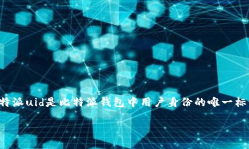 比特派（BitPie）是一款内容丰富且功能强大的数字货币钱包，它为用户提供了便捷、安全的数字资产管理服务。比特派uid是比特派钱包中用户身份的唯一标识符，用于区分用户账户。接下来，我将为你详细介绍比特派uid的相关概念、用途以及在数字货币交易中的重要性。

### 比特派UID详解：理解你的数字货币钱包身份