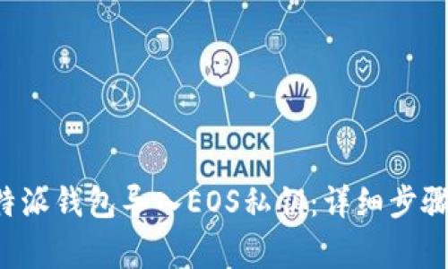 如何通过B特派钱包导入EOS私钥：详细步骤与注意事项